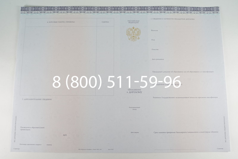 Диплом бакалавра (Киржач) 2014-2024 года в Прокопьевске